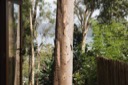LA_view1