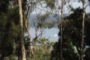 LA_view2